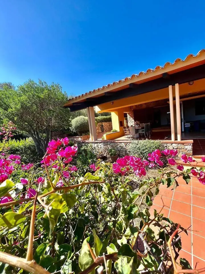 Villa Lory Villa Sul Mare Vista Mare Proiettore Italia
